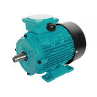 Totally Enclosed 3 Phase Induction Motor 0.75kw 1HP 1400RPM 50/60HZ MS802-4