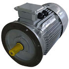 Square Cage 0.75kw 1Hp Eff1 Eff2 Three Phase Induction Motor