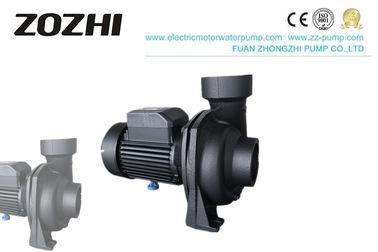 NFM Series Centrifugal Water Pump 1.0hp 1.5hp 2.0hp 3.0hp For Gardening Irrigation