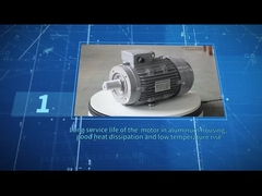 MS100L-2 IE3 4HP/3KW