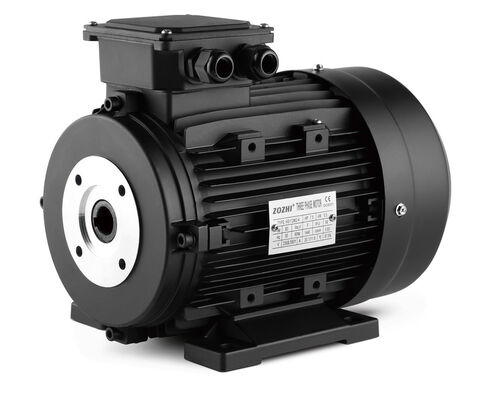 IP55 protection level hollow shaft 3 phase motor rated voltage 380V ideal choice for manufacturing and processing plants