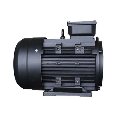 5.5kw 3 Phase Aluminum AC Electric High Power Motor for Ms Series IE1 IE2 IE3