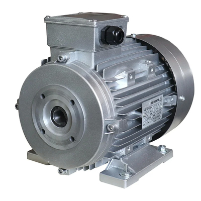 35 кг IP55 полый вал AC двигатель диаметром 24 мм изготовленный ZOZHI Motor
