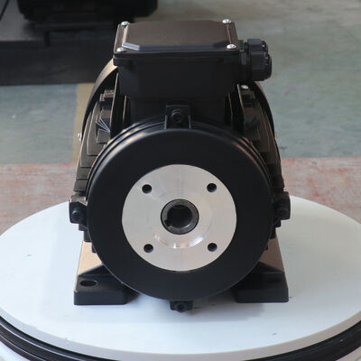 Made In hollow shaft motor offering 85 percent efficiency engineered for in automated assembly lines and packaging machinery