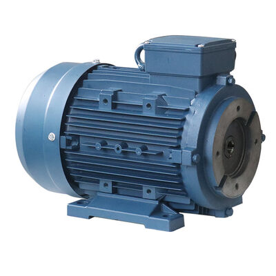 IP55 Protection Rating 3 Phase Induction Motor Roller Bearings Included Suitable for Harsh Environments and Long Lasting