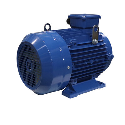 Industrial Machinery 3 Phase Induction Motor Equipped with Cast Iron Housing Material Providing Performance and Mechanical Stability