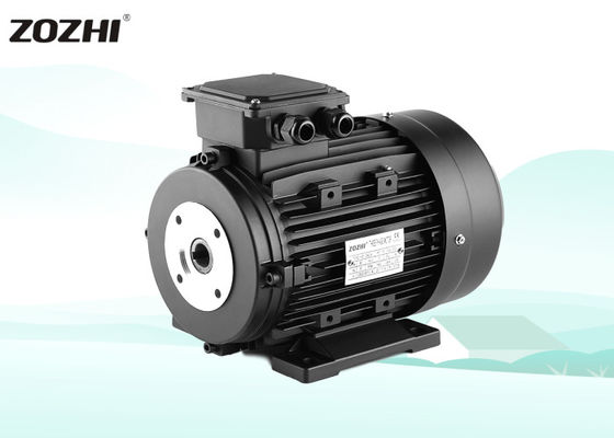 1.5KW Three-Phase AC Asynchronous Motor High Efficiency Waterproof Hollow Shaft Motor for Pressure Washer